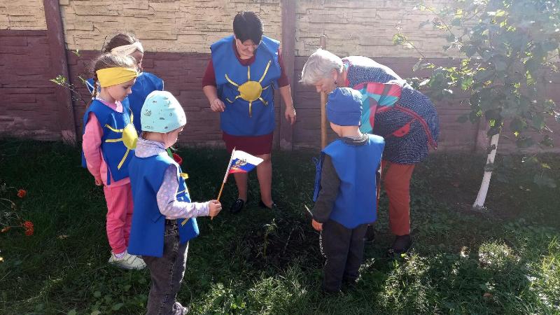 Акция по высадке деревьев