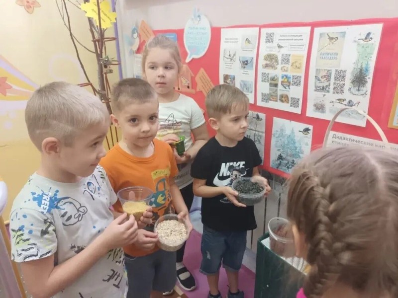 День Синички в нашем детском саду!