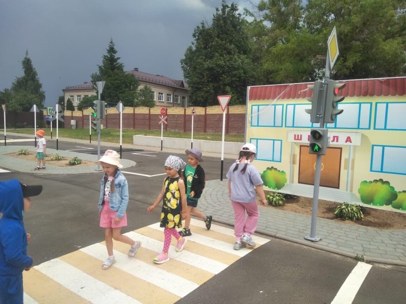 День безопасности дорожного движения