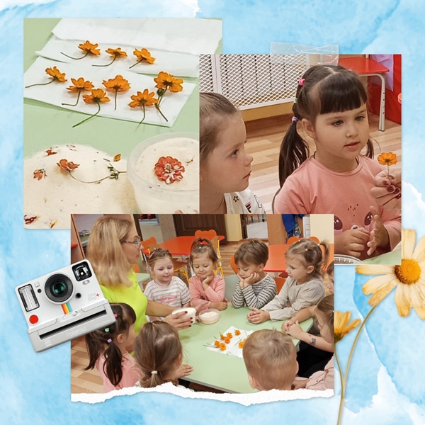 Цветы