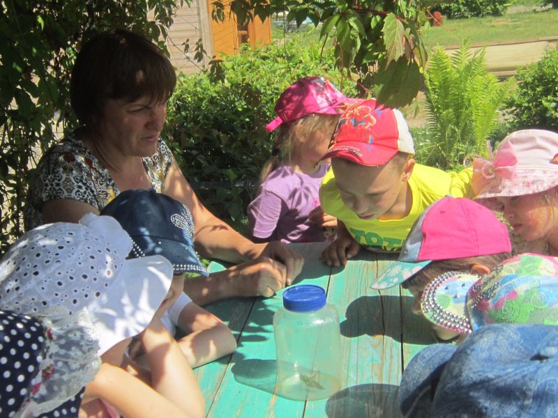 Любители природы