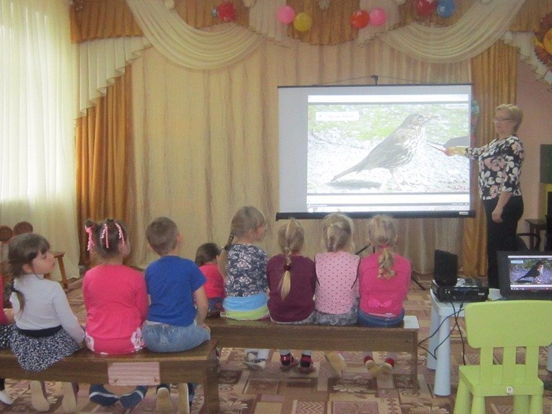 Перелётные птицы