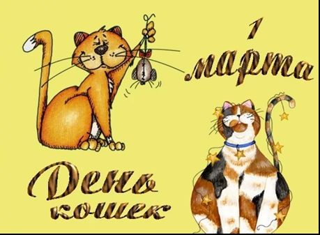 Всемирный день кошек