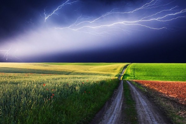 ПОВЕДЕНИЕ ВО ВРЕМЯ ГРОЗЫ