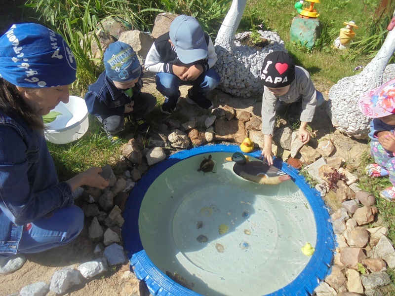 Наблюдение за черепахами