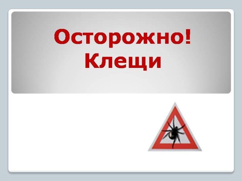 Осторожно! Клещи!