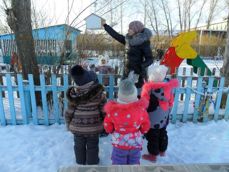 Акция «Покормите птиц зимой».