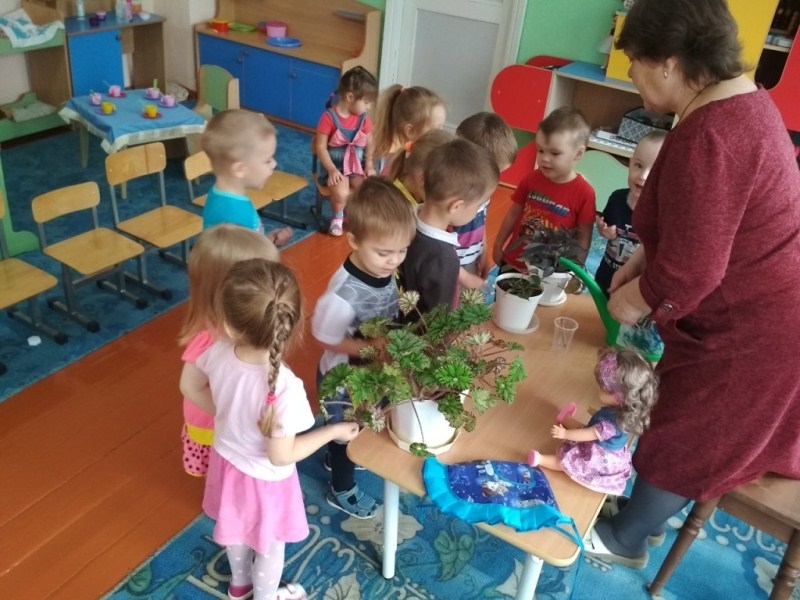 Неделя экологии в МДОУ 