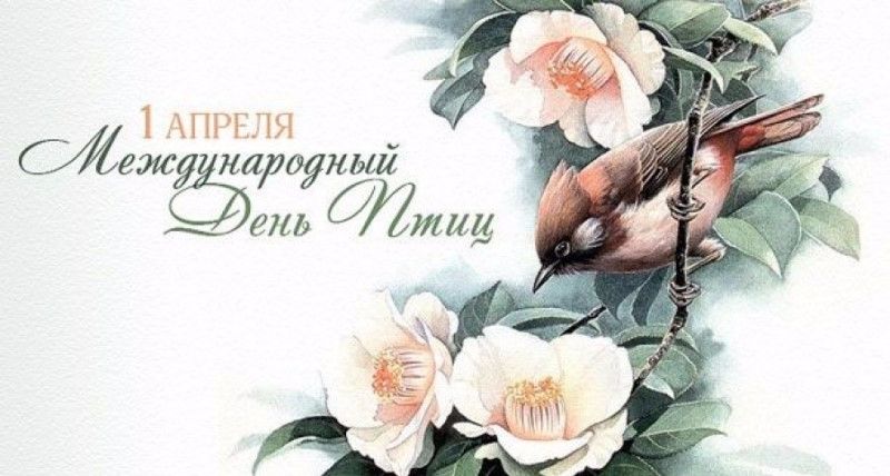 Международный день птиц