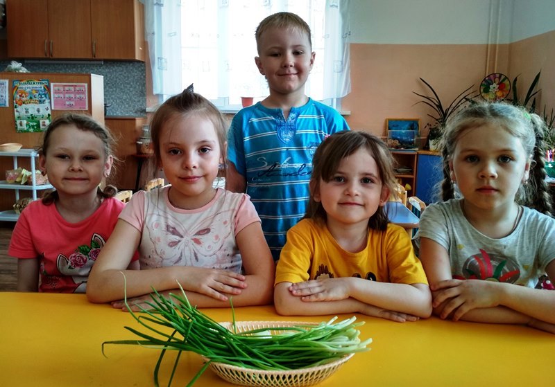Огород на подоконнике в старшей группе. Огород на подоконнике в старшей группе.