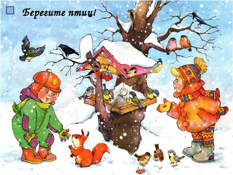 Покормите птиц зимой Покормите птиц зимой