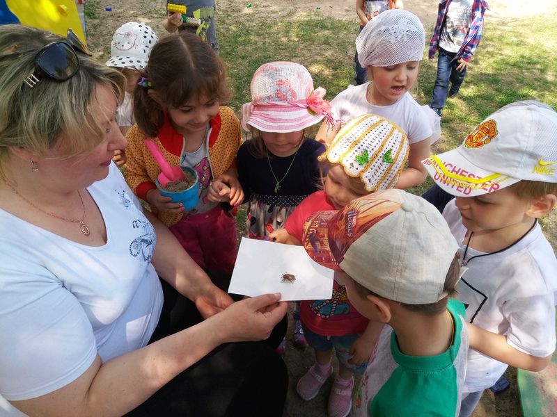 Знакомство с майским жуком