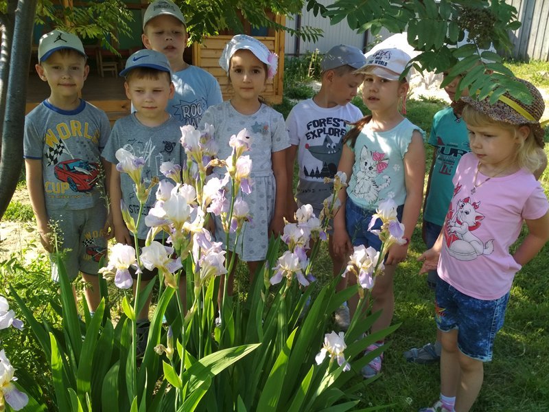 Юные натуралисты знакомятся с патиссонами