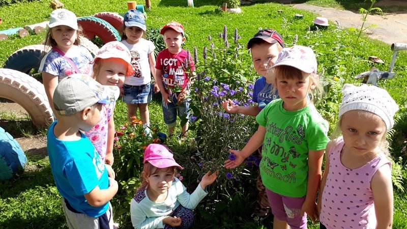 Цветочное лето в детском саду