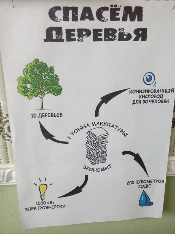 «Сдай макулатуру – спаси дерево!» 