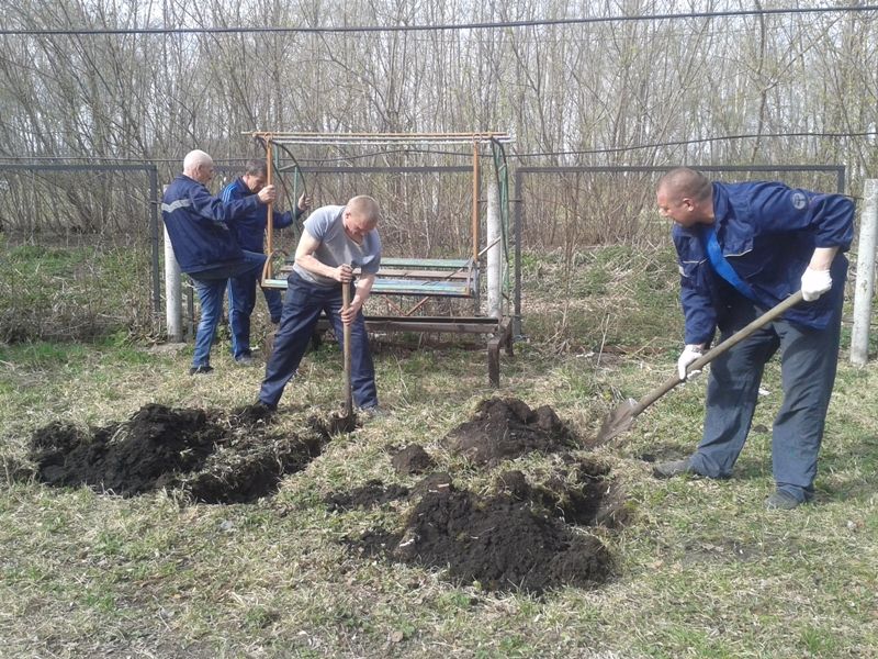 Субботники по уборке территории детского сада