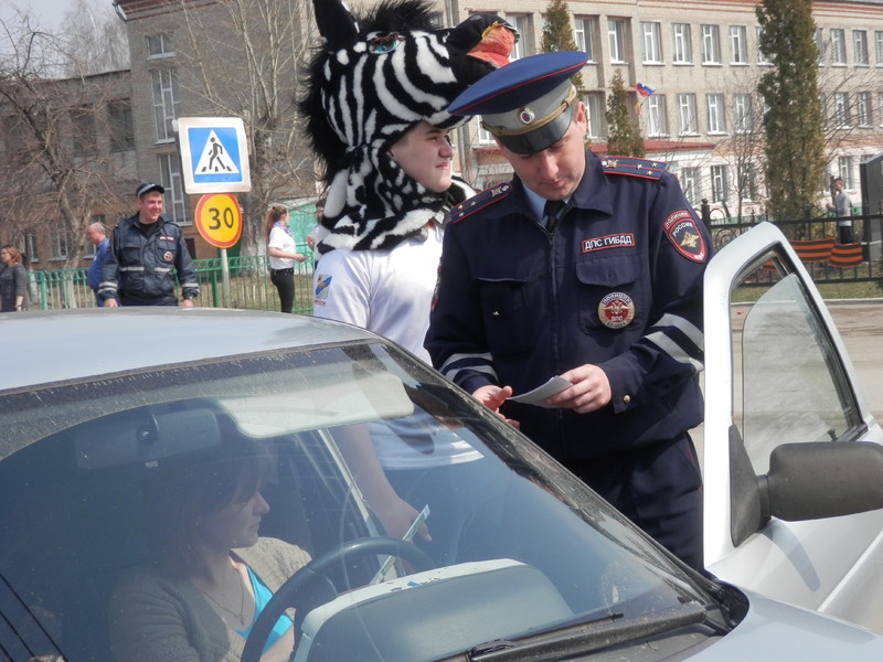 «С днем рождения, Зебра!»