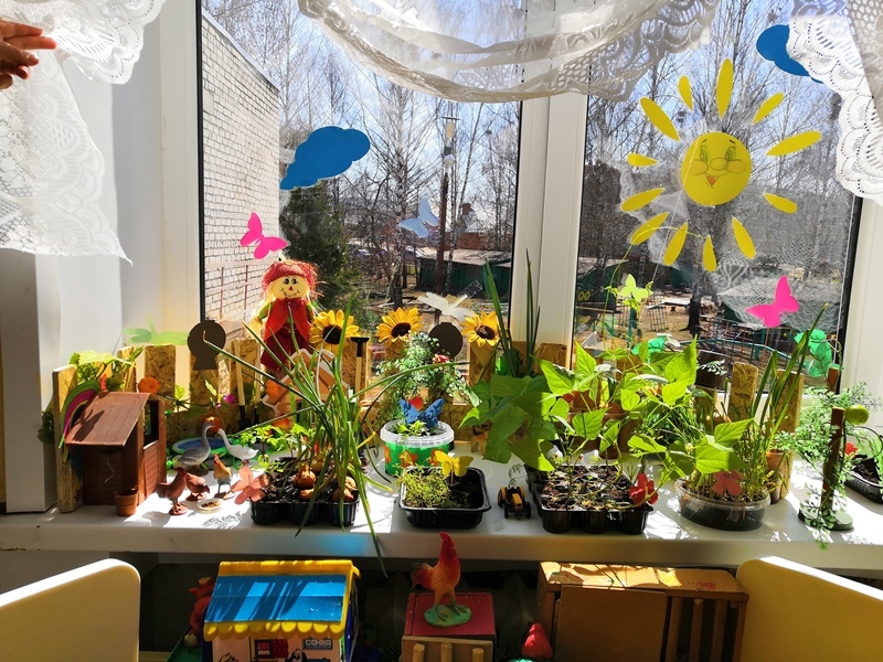 Огород на окне в детском саду