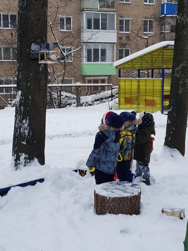 Пернатые друзья! Пернатые друзья!