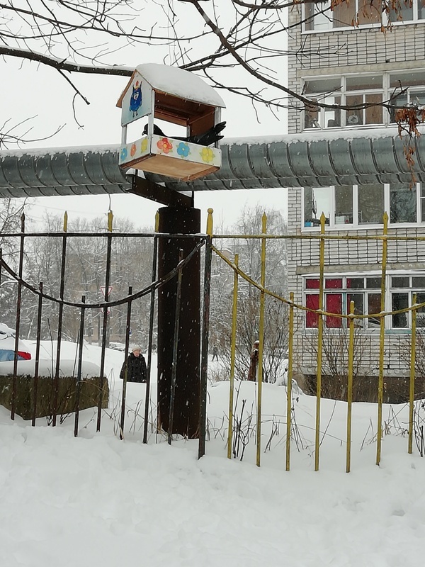 Птицы зимой Птицы зимой