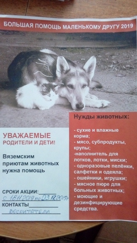 Акция Акция