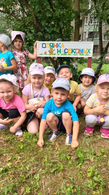 Маленькие друзья природы - насекомые Маленькие друзья природы - насекомые