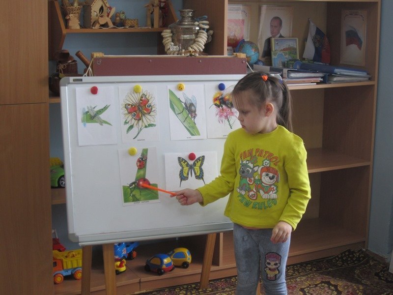 День насекомых