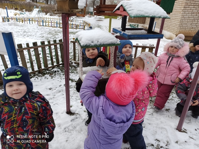 Птичья столовая