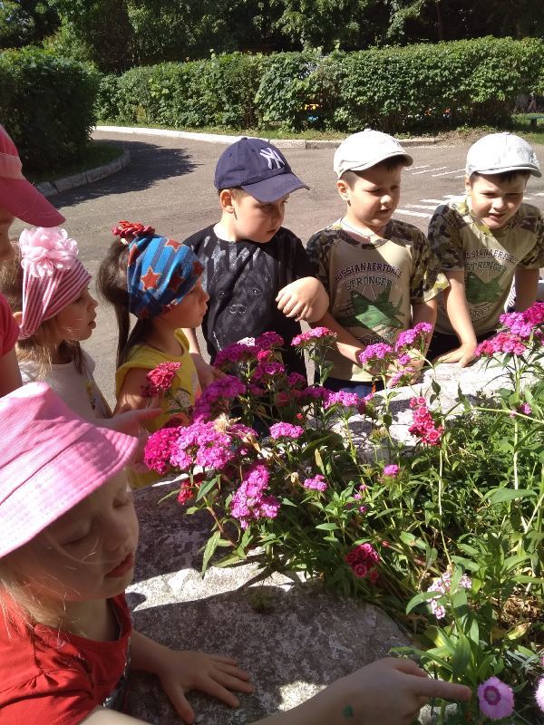 Природоведческая экскурсия Природоведческая экскурсия