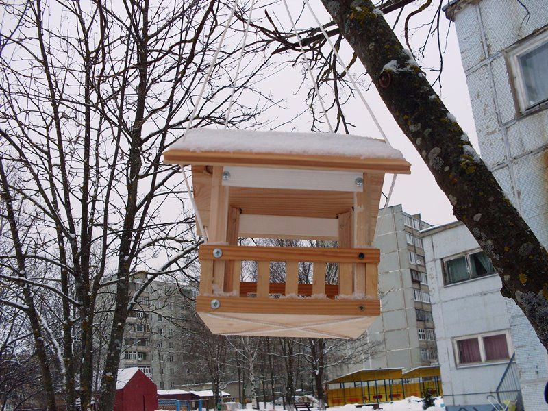 Традиционная акция «Покормите птиц зимой!»