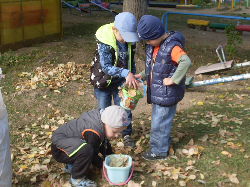 Уборка листьев на участке