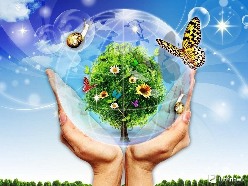 Всемирный день защиты и охраны окружающей среды