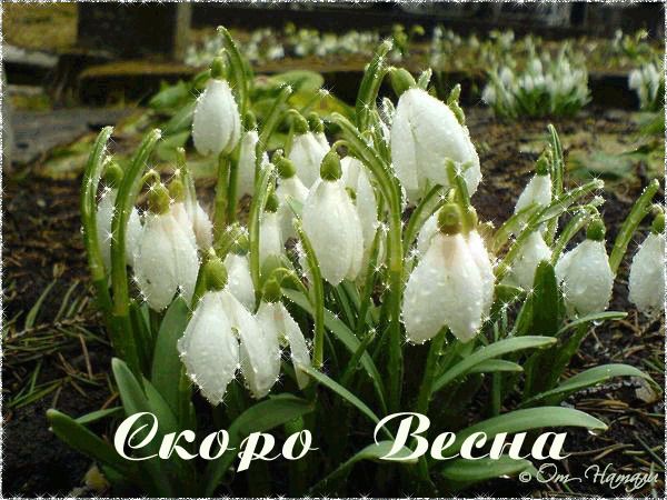 Международный женский день!