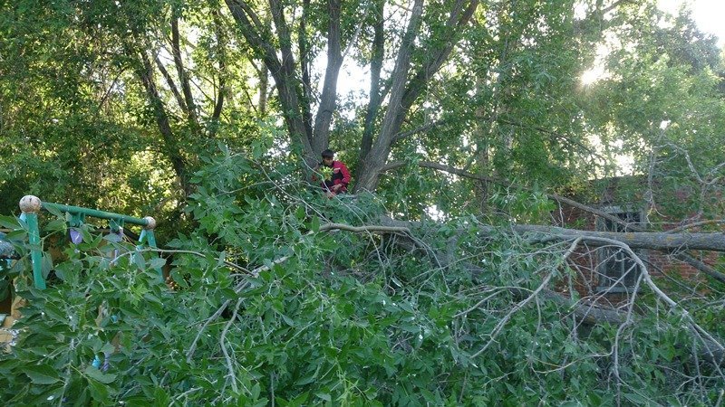 Детский сад «Колобок» - красивый, зелёный островок детства