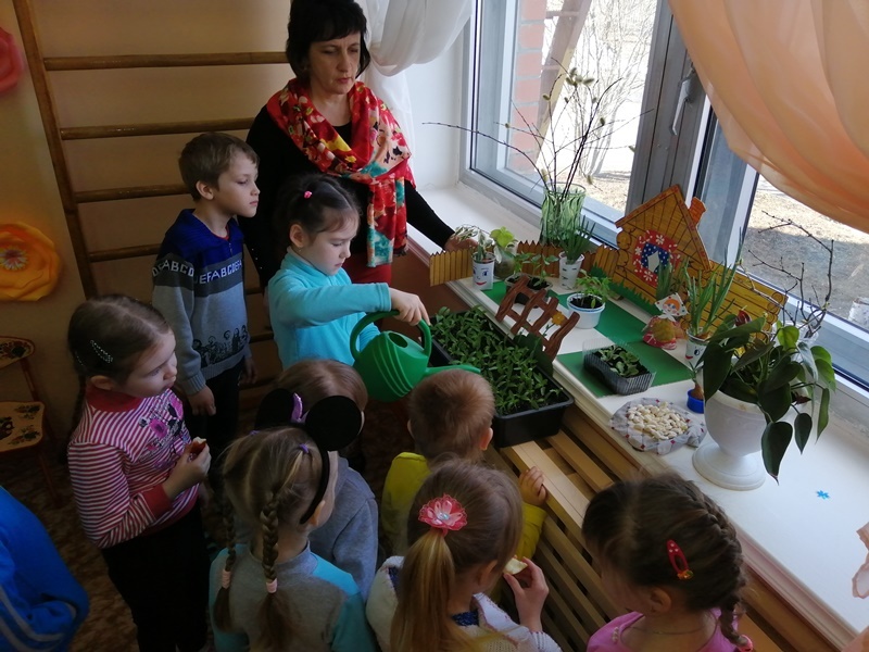 Проект «Веселый огород».