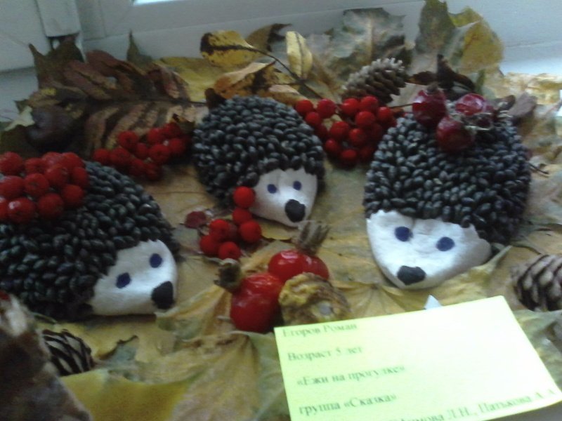 Золотая осень