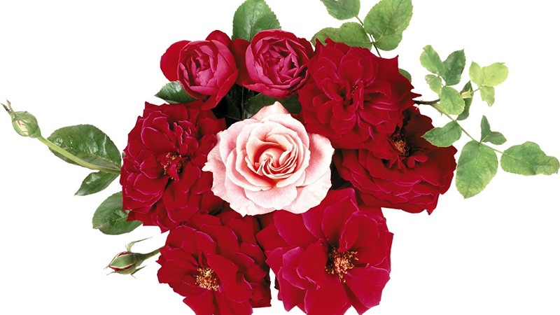 С днём матери!