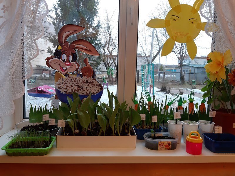 Смотр-конкурс «Огород - круглый год».