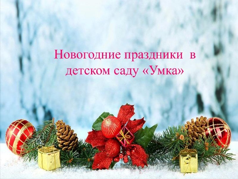 Новогодние праздники в детском саду 