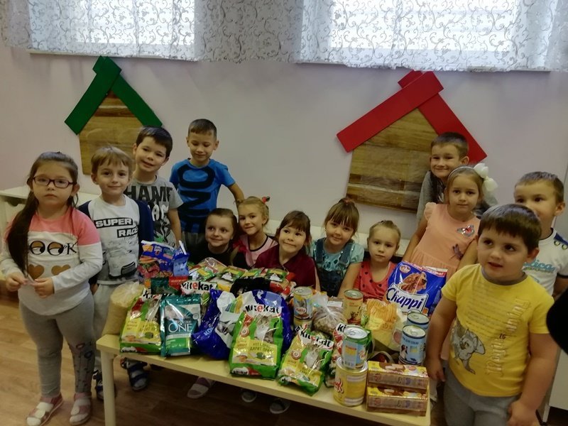 Акция по сбору помощи для бездомных животных Акция по сбору помощи для бездомных животных