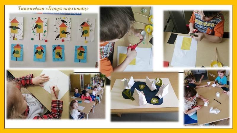 Встречаем птиц
