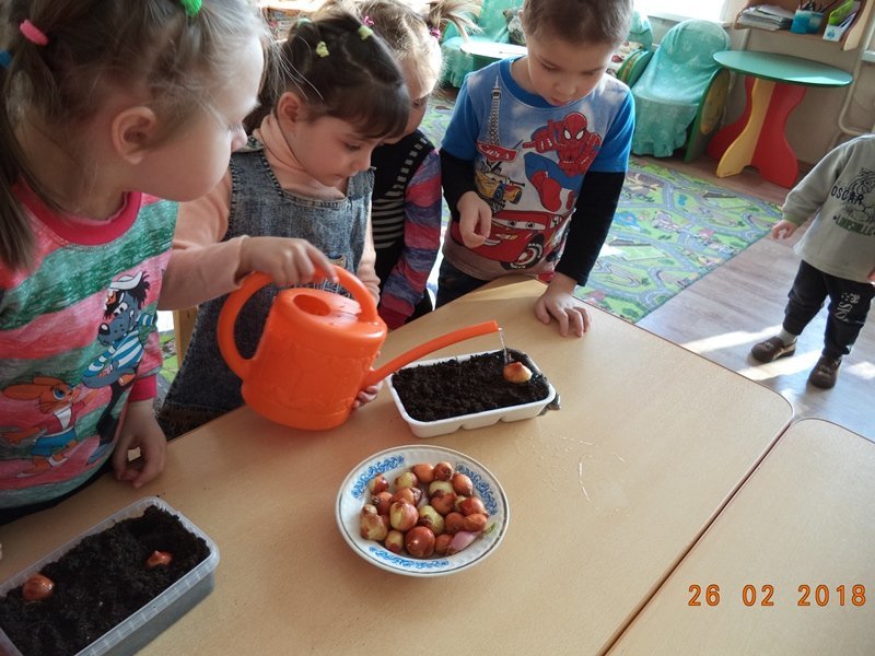 «Огород на окне»