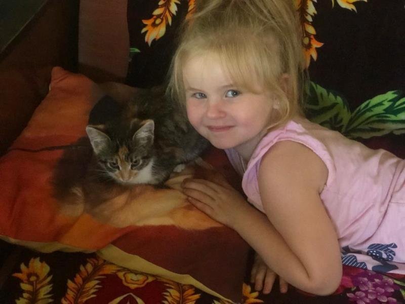 Учите детей любить животных