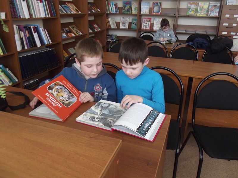 Экскурсия в библиотеку