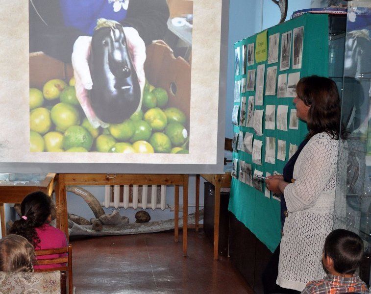 Закрепление темы «Овощи»