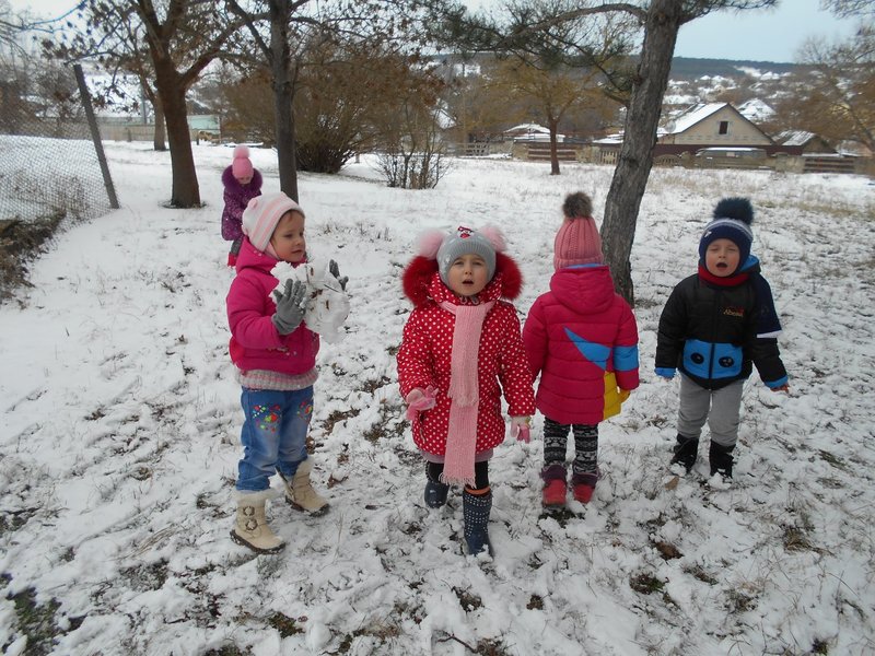 Зимняя прогулка