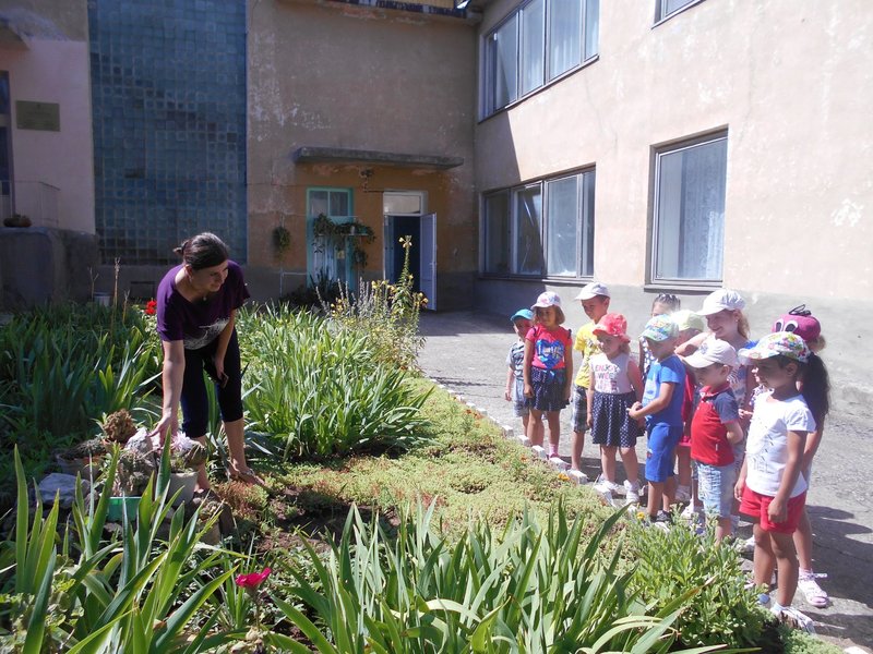 Дети наблюдают за цветущим кактусом!
