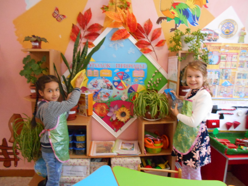 Смотр-конкурс уголков трудового воспитания