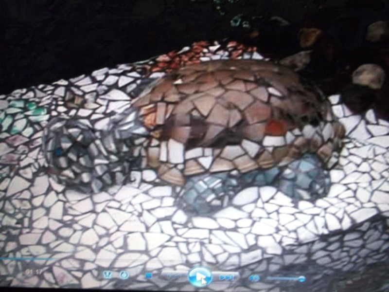 Фото по экологии