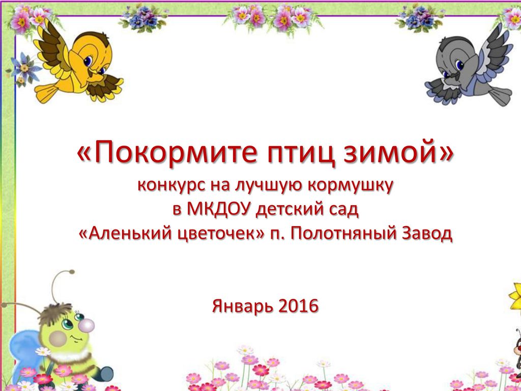 Покормите птиц зимой